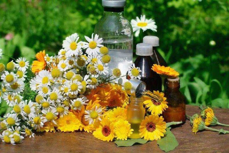 Biện pháp khắc phục ký sinh trùng